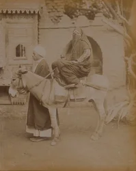 Frau auf einem Esel, Kairo, 1893